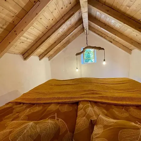 Tatil Evi Riorequesa Tiny House *