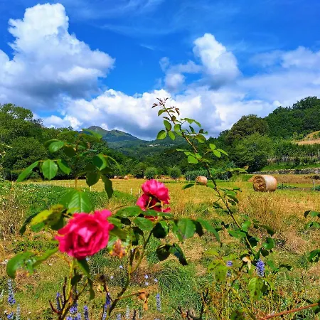 Riorequesa Tiny House *